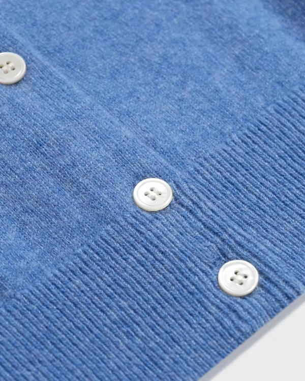VESÉRIOS Wool–Cashmere Cardigan — Blue